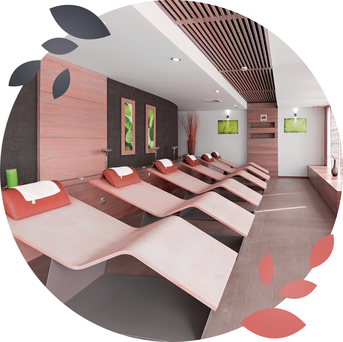 https://alegriadvivir.com/wp-content/uploads/2019/01/spa-circle-1.png
