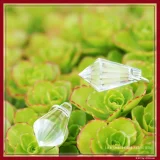 Perlas del Amor - Imagen 5