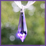 Perla de Shakti - Imagen 4
