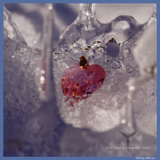Corazón de Diamante de las Diosas - Imagen 3